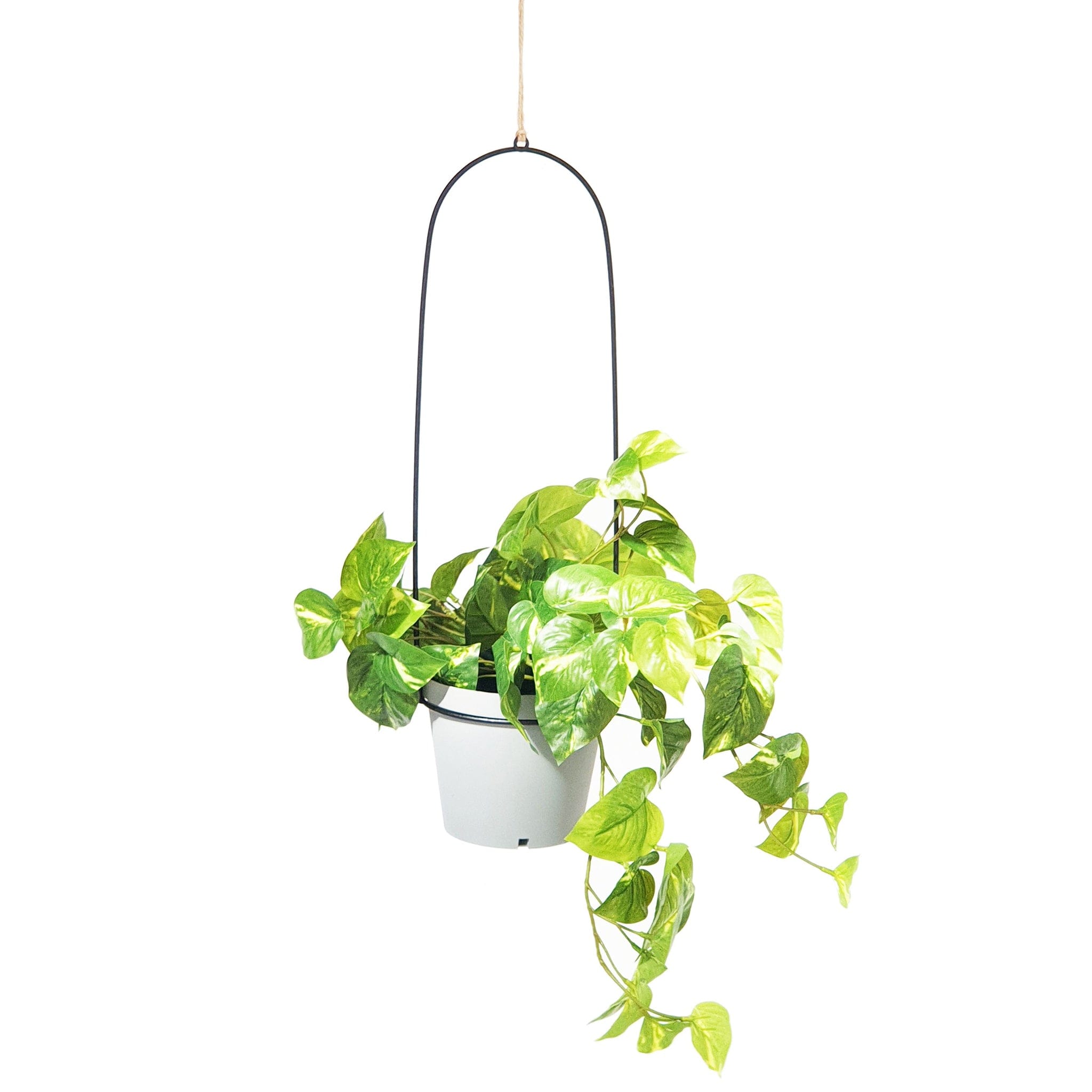 Bucket Hanging Planter
