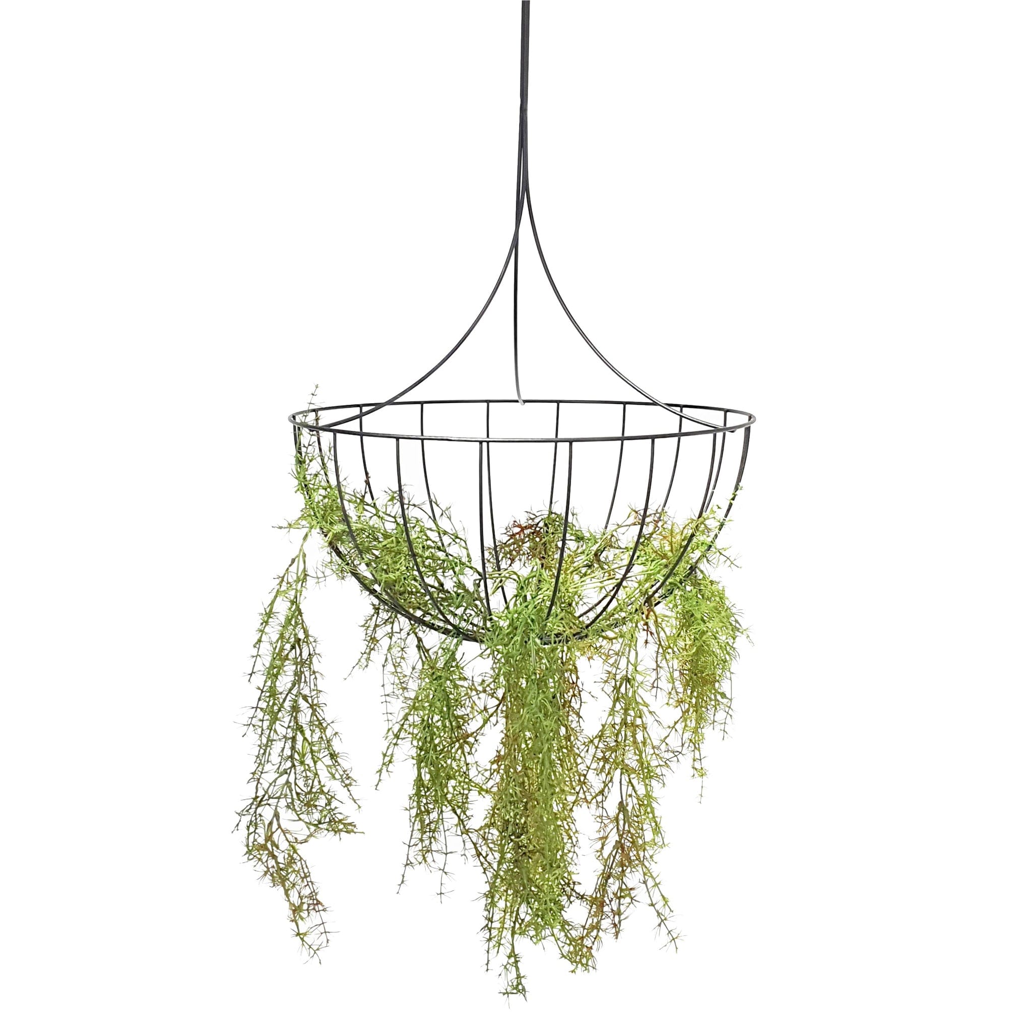 Half Ball Hanging Planter