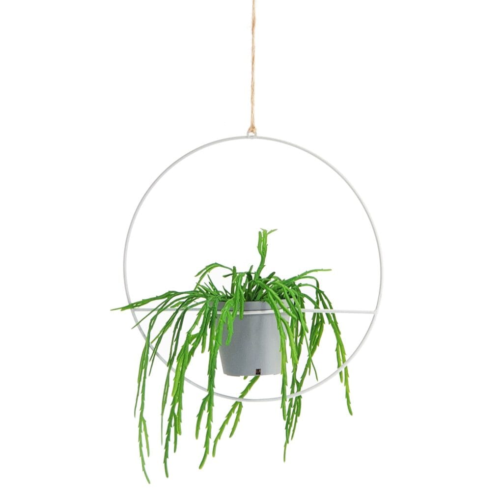 Hanging planters are a perfect way to incorporate nature into your home. Mild powder coated steel.