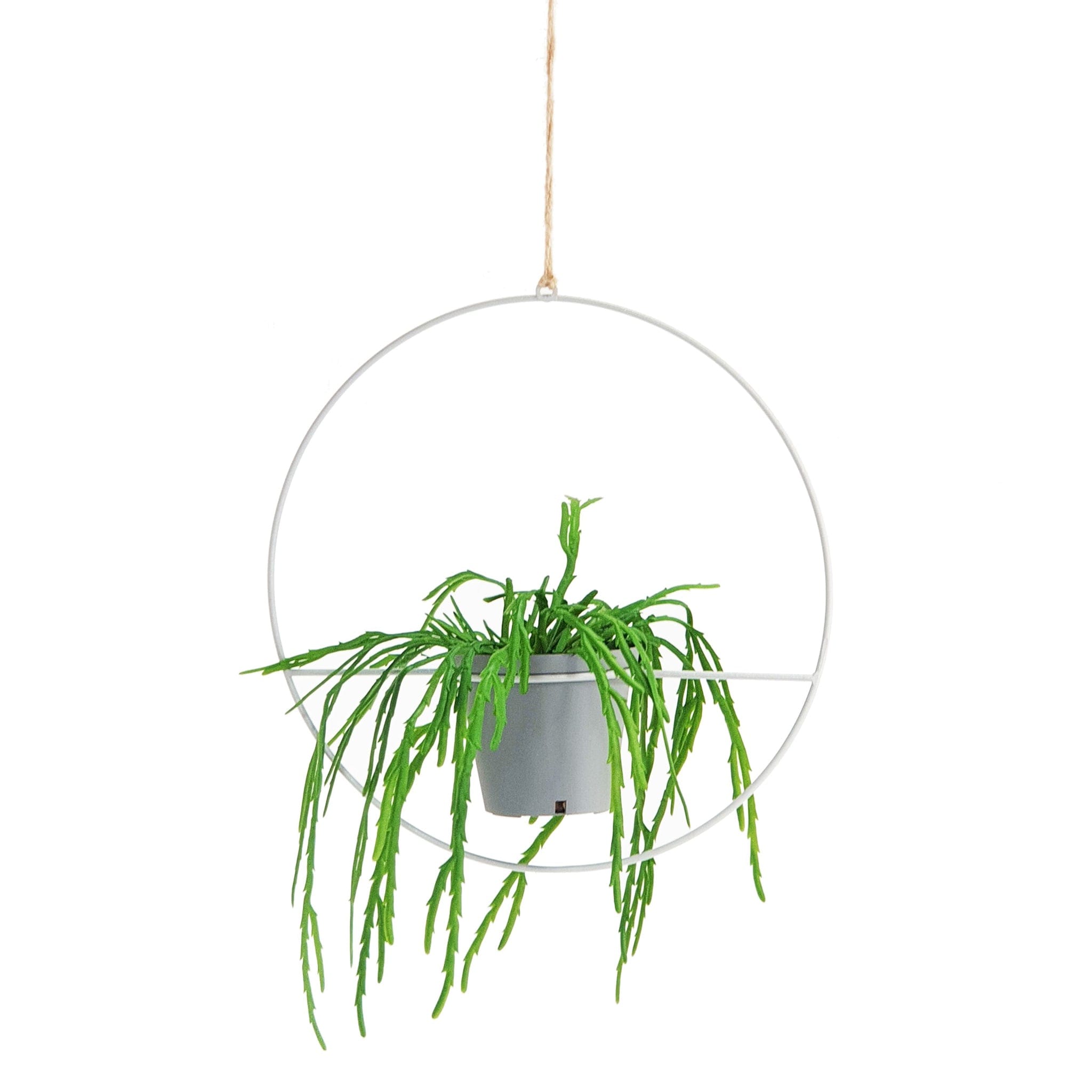 Ring Hanging Planter