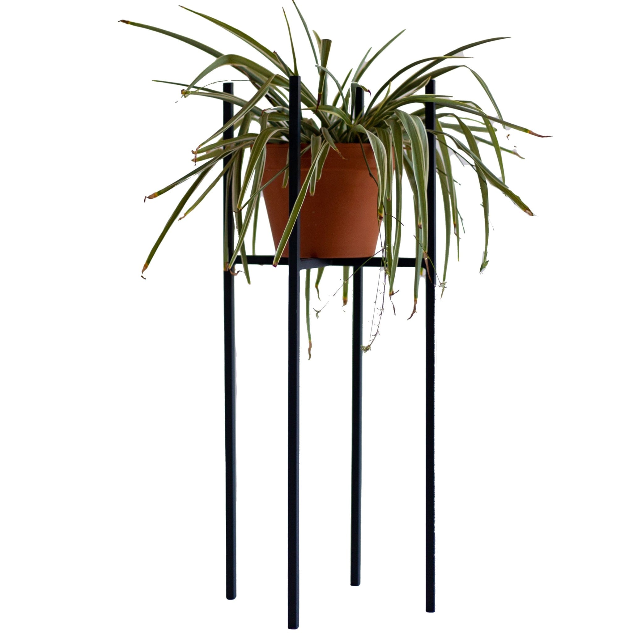 One of the best ways to add a decorative touch to a corner of your house is by elevating your plants with a plant stand. Rings hold standard pot sizes 115mm, 190mm and 240mm in diameter. Please note that these are for interior use only and it excludes the pot and plant.