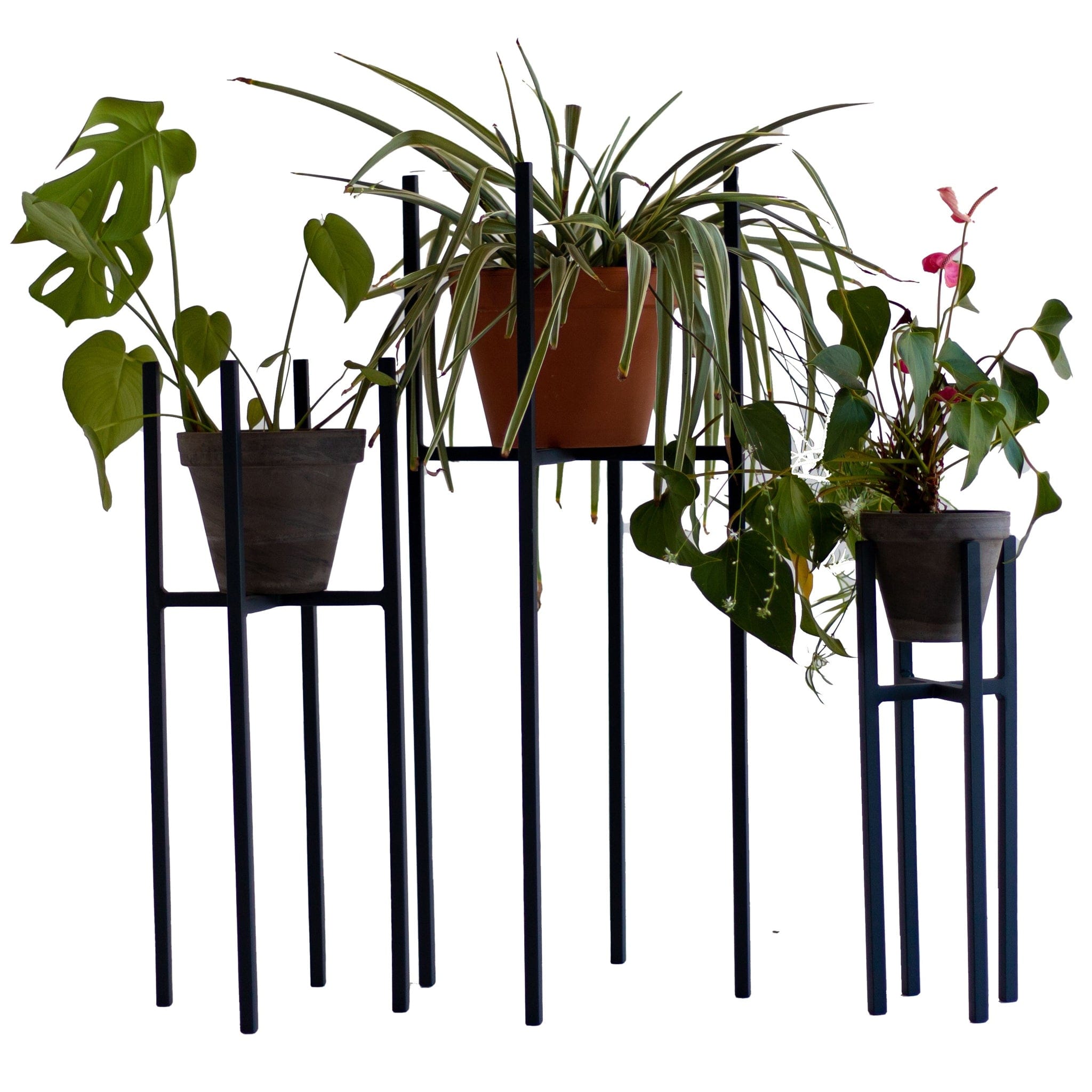 One of the best ways to add a decorative touch to a corner of your house is by elevating your plants with a plant stand. Rings hold standard pot sizes 115mm, 190mm and 240mm in diameter. Please note that these are for interior use only and it excludes the pot and plant.