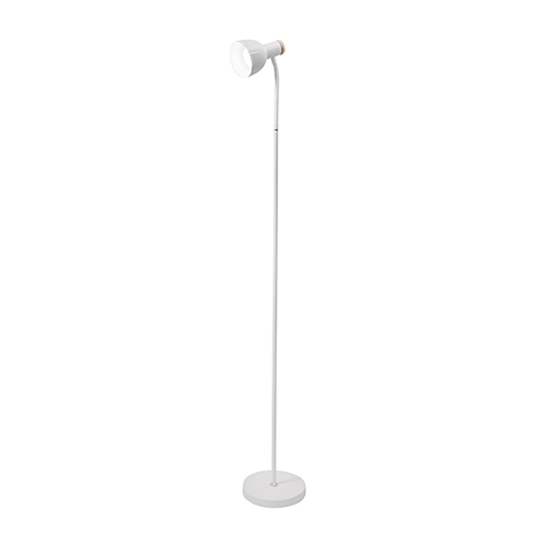 Arc Floor Lamp
